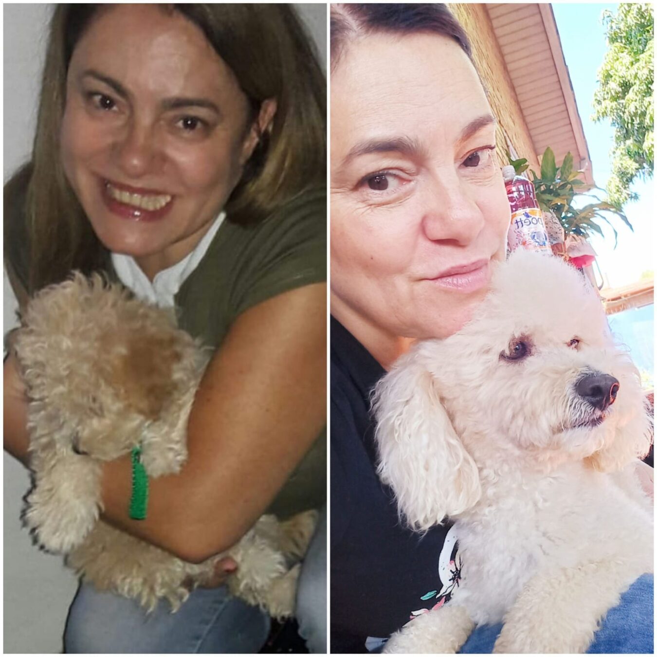 TESTOMINIO ROSI GINO